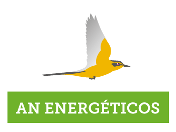 AN-Energeticos