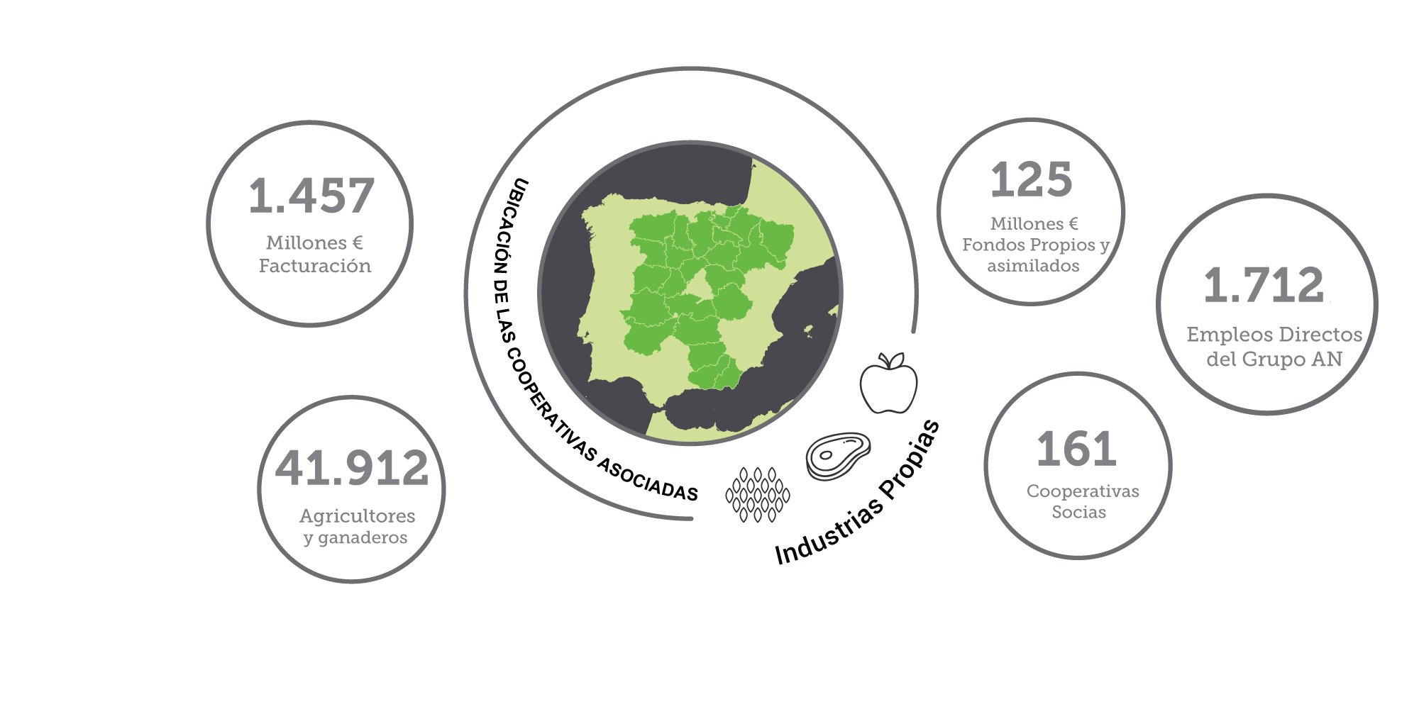 Quienes Somos - GrupoAN- Cifras -19-20