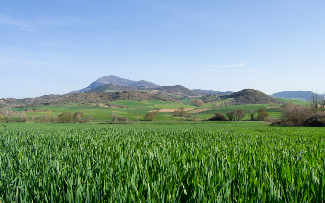 El campo espera la primavera con ilusión