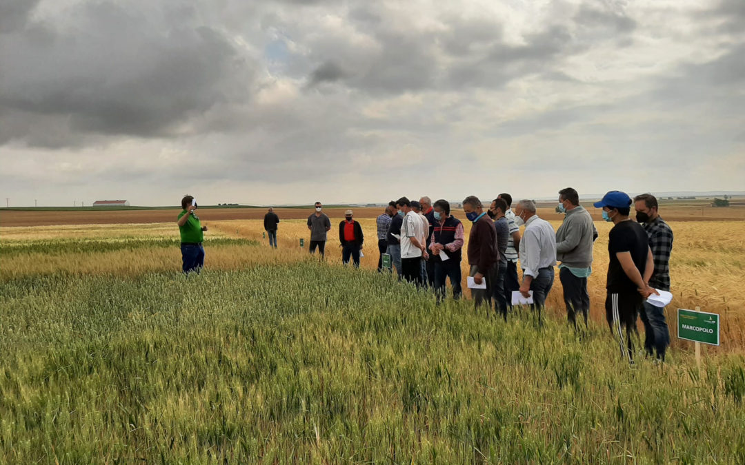 Jornadas para dar a conocer la semilla certificada de Villamartín de Campos