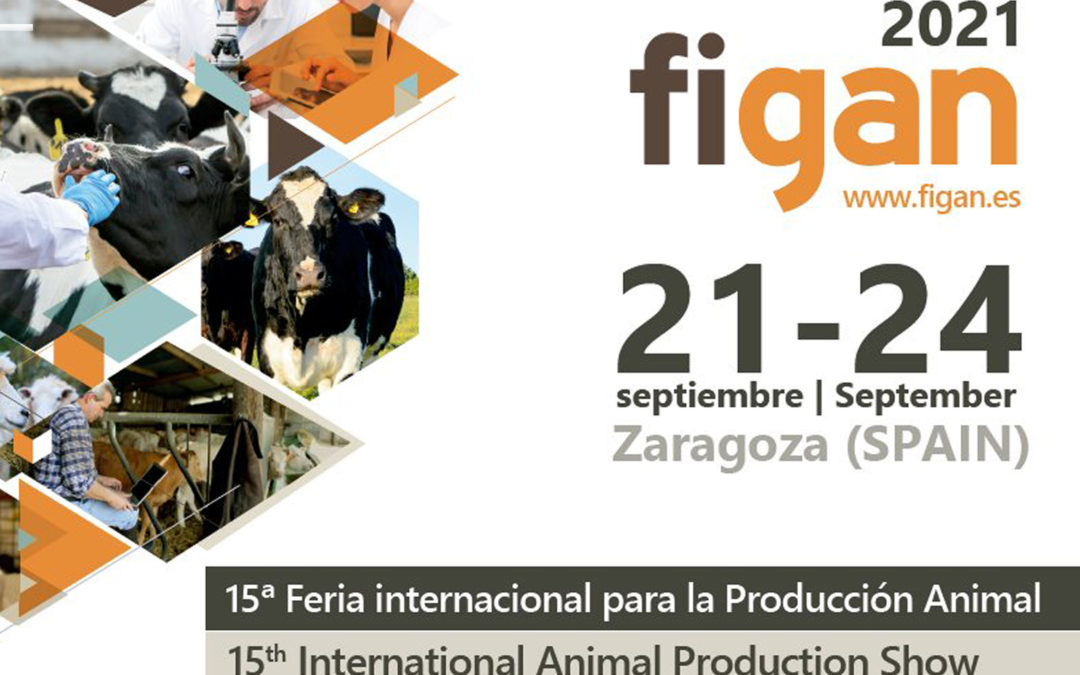 El Grupo AN, presente en FIGAN