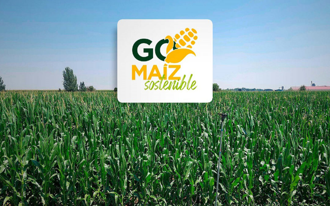 Agricultura de precisión para mejorar la sostenibilidad, la rentabilidad y la competitividad del maíz