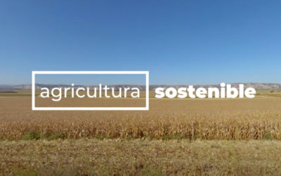 La importancia de la agricultura sostenible en 360°