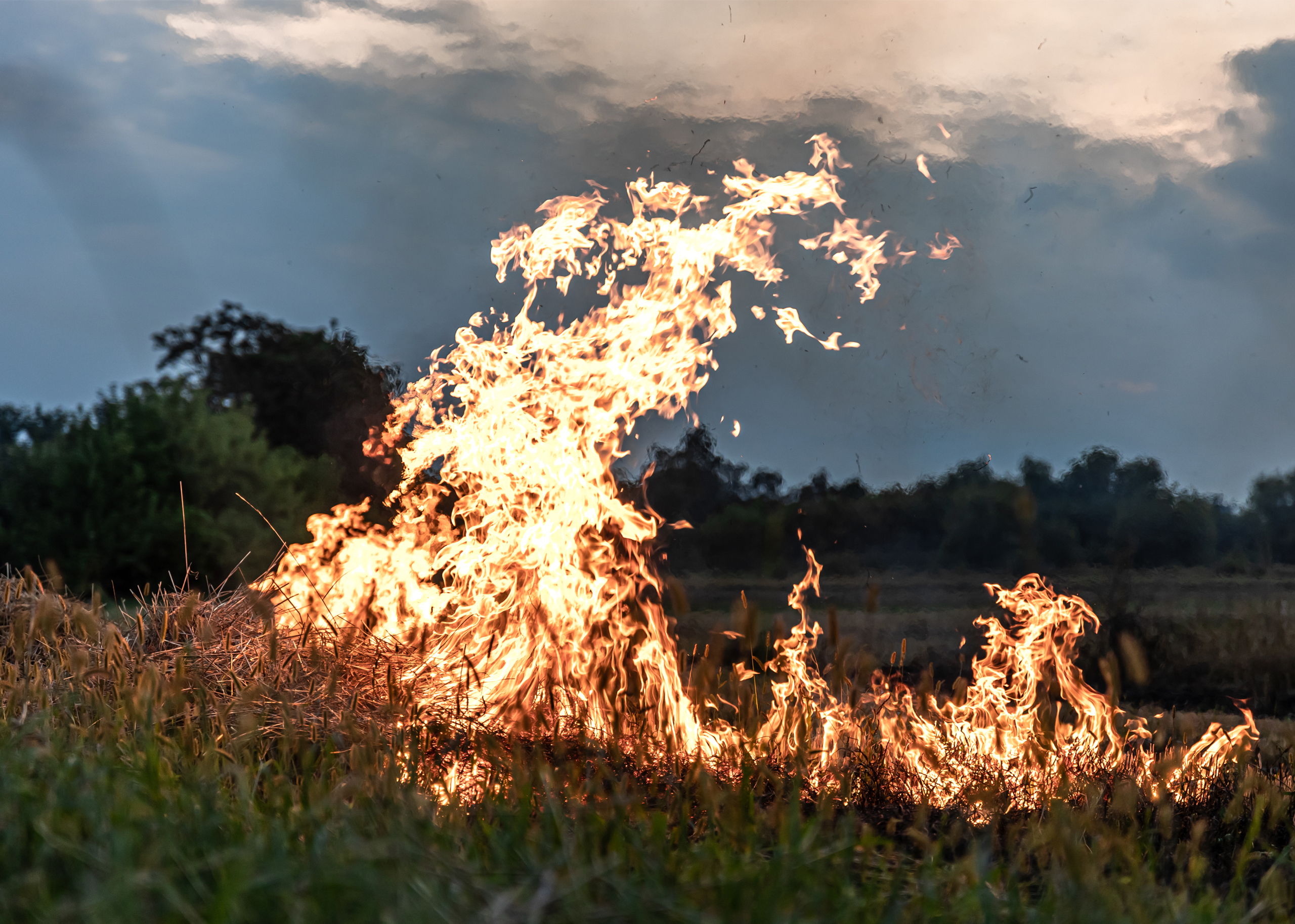 Fuego en el campo