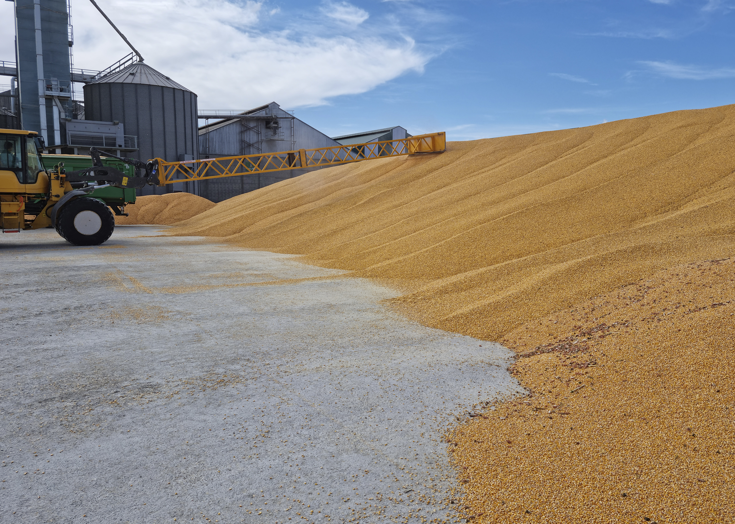 Cereal en la Cooperativa La Sarda de Beire