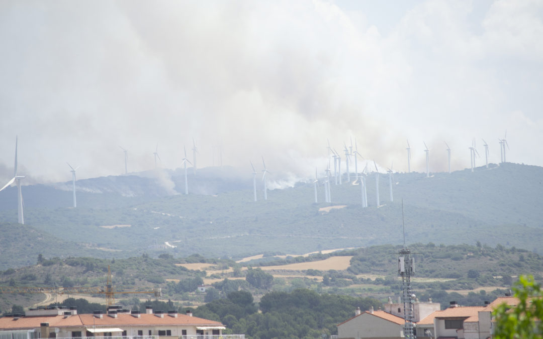 Casi dos millones de hectáreas siniestradas en 2022