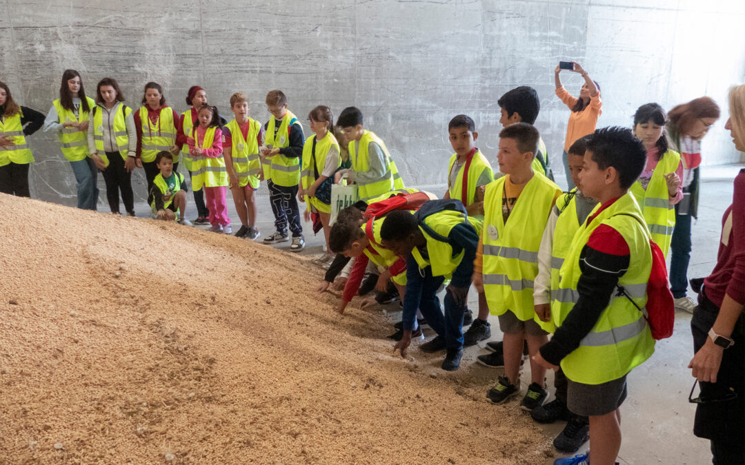 El Grupo AN fomenta la sostenibilidad y el cooperativismo entre los escolares de Barásoain