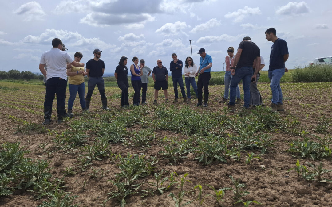 Formación técnica sobre malas hierbas en cultivos de verano