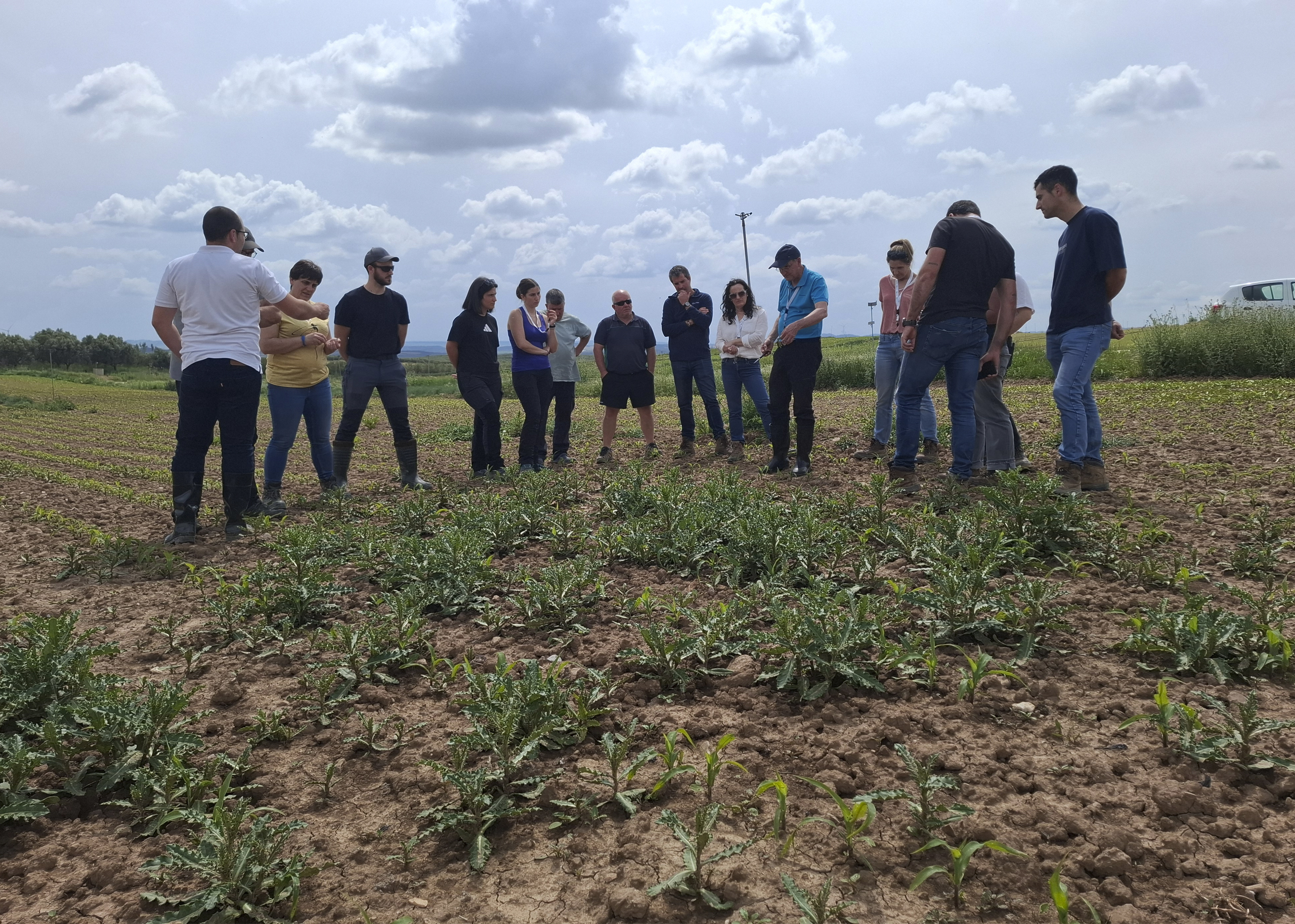 Curso malas hierbas 2025