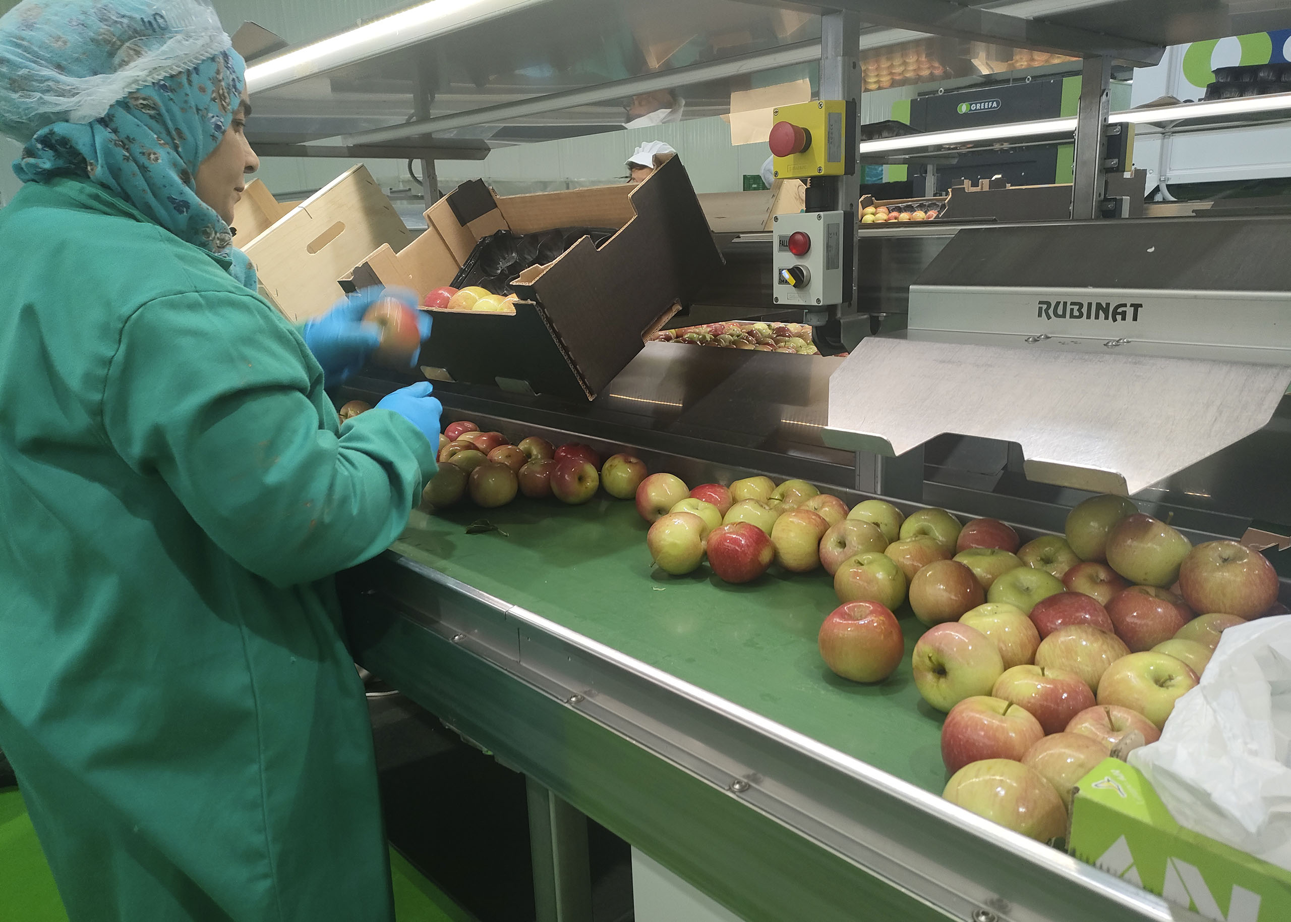 Foto Manzanas CHT