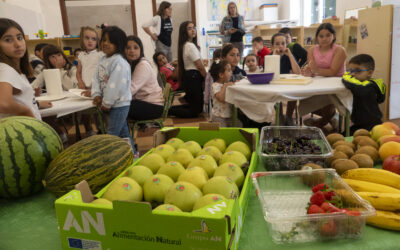 Hábitos saludables para los escolares navarros