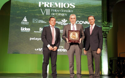 Premio Felipe González de Canales al Grupo AN