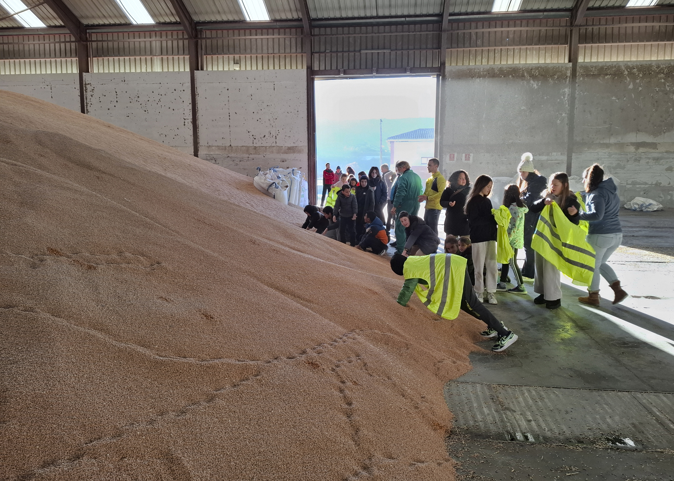 -	Durante la primera parte de la jornada, de pie: Juan Pueyo, delegado del Grupo AN en Aragón, Iñaki Fernández López-Zuazo, del MIK, Maite Muruzábal, directora de la Fundación Grupo AN, y Ane Eizmendi, del MIK