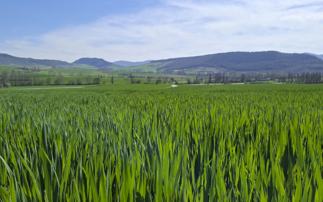 El campo recibe la primavera tras un lluvioso invierno