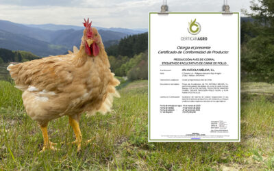AN Avícola Mélida renueva el certificado Certicar de pollo campero
