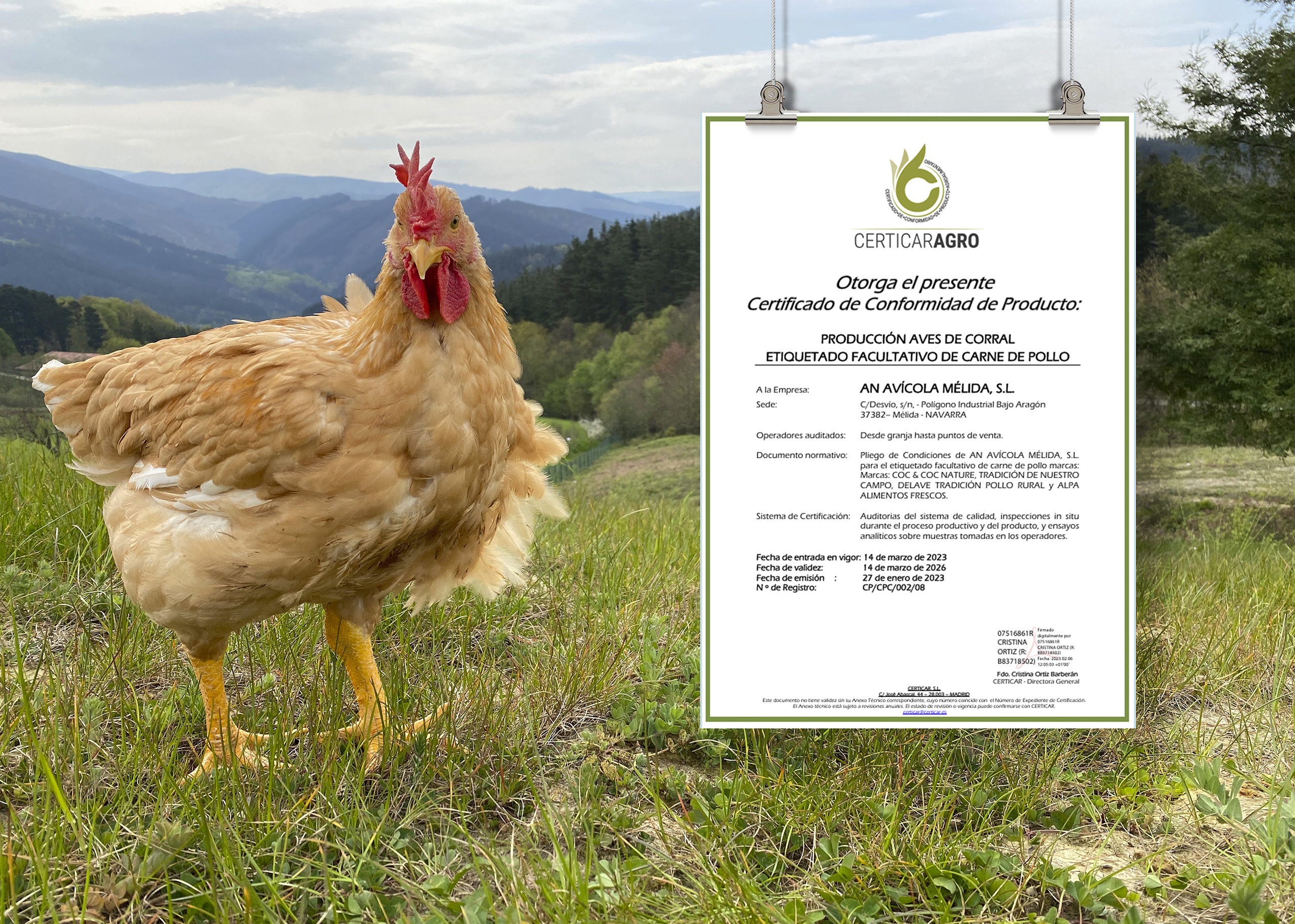 Pollo campero del Grupo AN junto a certificado Certicar